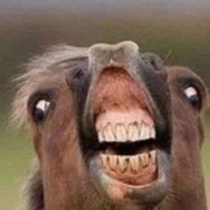 Meet your Posher, Allen